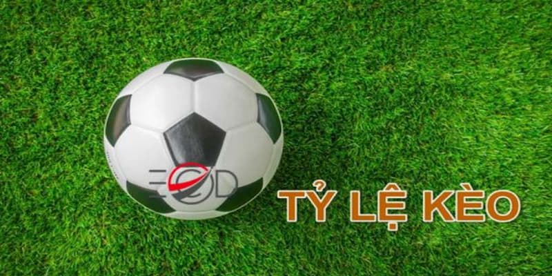 Tỷ Lệ Kèo 888 Cách Tính Tỷ Lệ Kèo 888