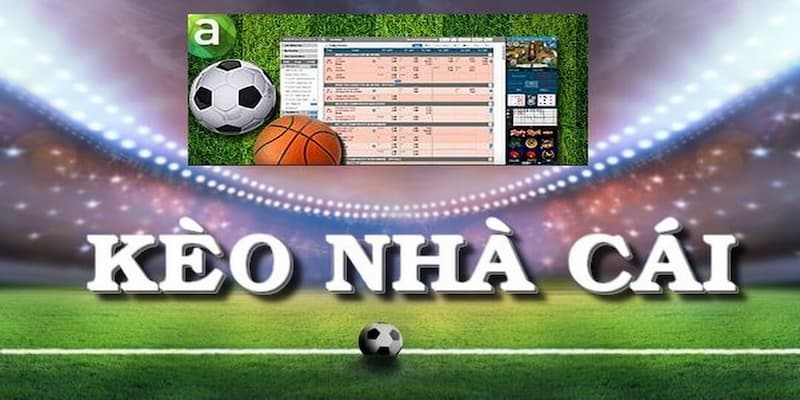 Tỷ Lệ Kèo 888 Đặc Điểm Của Đội Bóng